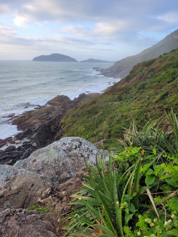 דירות Florianópolis Apartamento Entre A Montanha E Do Mar מראה חיצוני תמונה